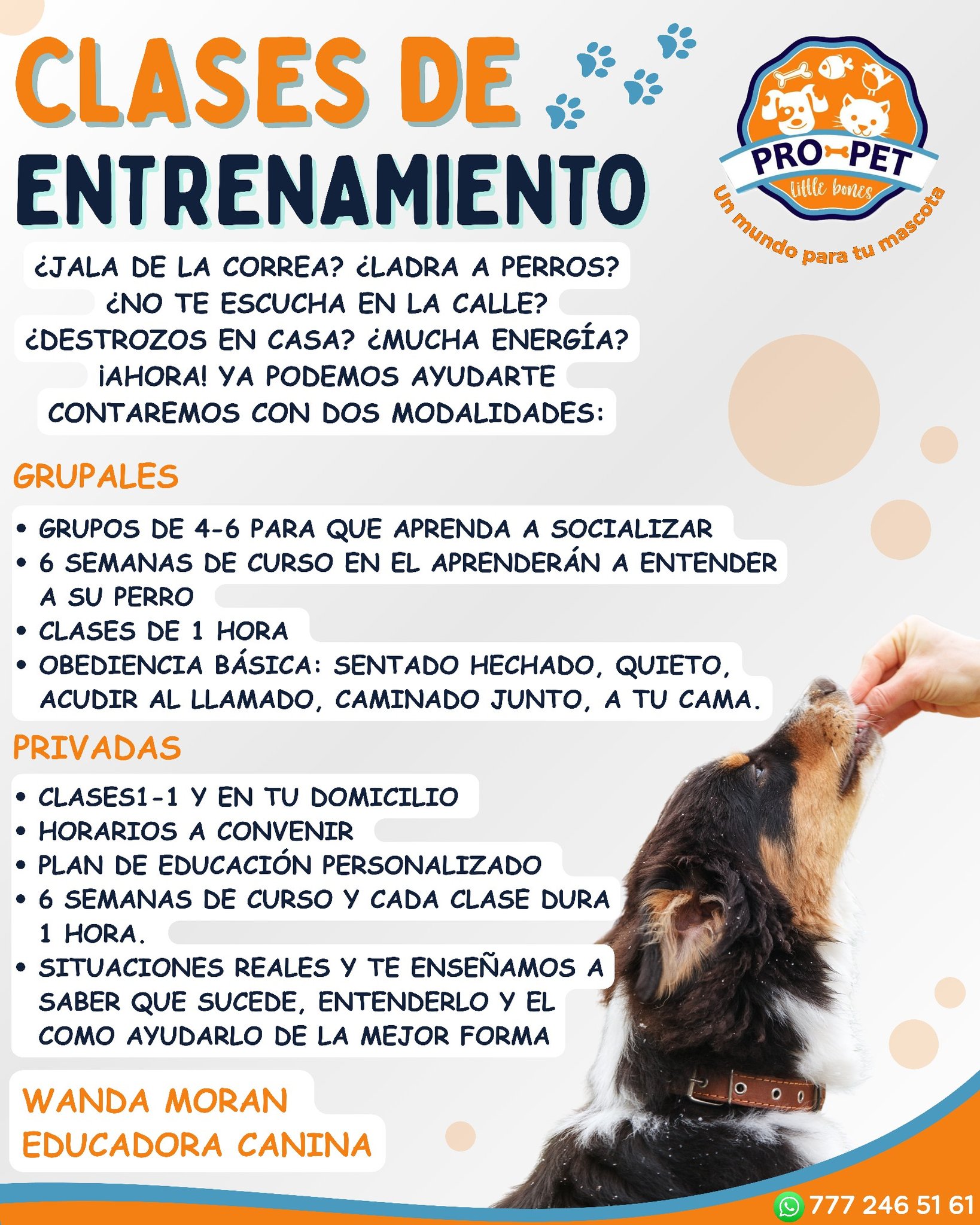 Entrenamiento
